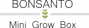 Das Logo von Bonsanto ist abgebildet.