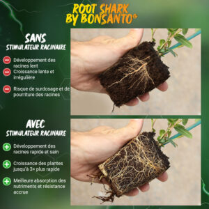Stimulateur Racinaire – Root Shark par Bonsanto® – Image 6