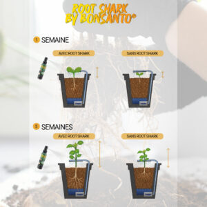 Stimulateur Racinaire – Root Shark par Bonsanto® – Image 7