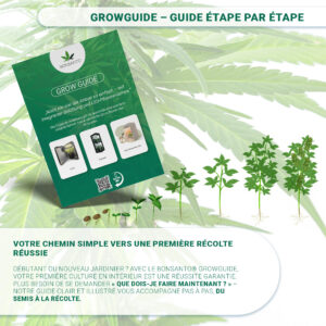 Kit de démarrage Grow Tent – Parfait pour débuter ! Lauréat PanBu – Image 3