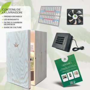 Pikendi Premium Naturel Mini box de culture – Image 8
